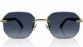 Cinco Eyewear — Prestige