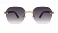 Cinco Eyewear — Vision